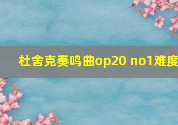 杜舍克奏鸣曲op20 no1难度